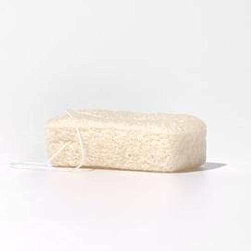 Sponge naturbrush konjac גדול 7.5 סמ 100 סיבים סיבים שורש P 100 ml