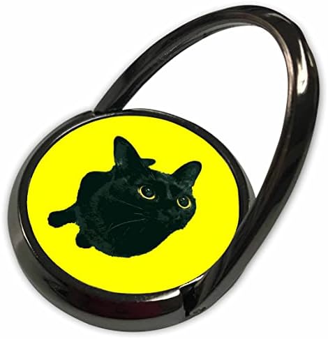 3 דרוזה שורטאיר חתול שחור עם עיניים צהובות בהירות מסתכלות למעלה - טבעות טלפון