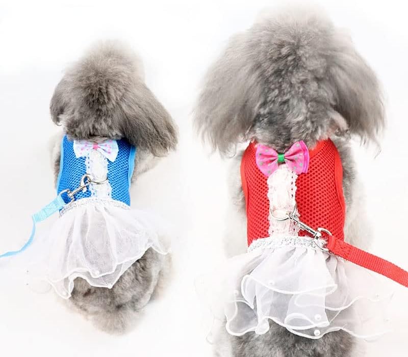 N/A Girl רתמת כלב רצועת רצועה סט אפוד רשת רתמת שמלת כלבים מרופדת לכלבים קטנים ארנב ארנב תחרה פניני טול