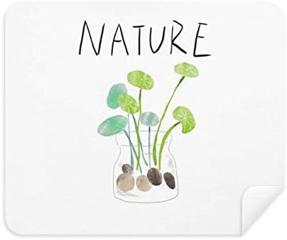 טבעי צמח סולואיסלנד ציור ניקוי בד מסך מנקה 2 יחידות זמש בד
