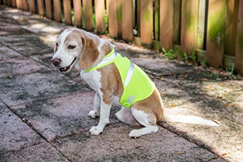 אפוד ציד כלבים 2 פט ואפוד רפלקטיבי בטיחות - משמש לנראות גבוהה - מגן על חיות מחמד מפני מכוניות ותאונות