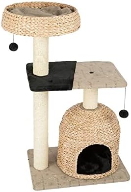 יוג ' יבה מפנק עיצוב של חתלתול כדי טרקלין ב, חתולים אוהבים בעצלתיים להישען בזמן משחק עם נוצת צעצוע וגירוד חתול