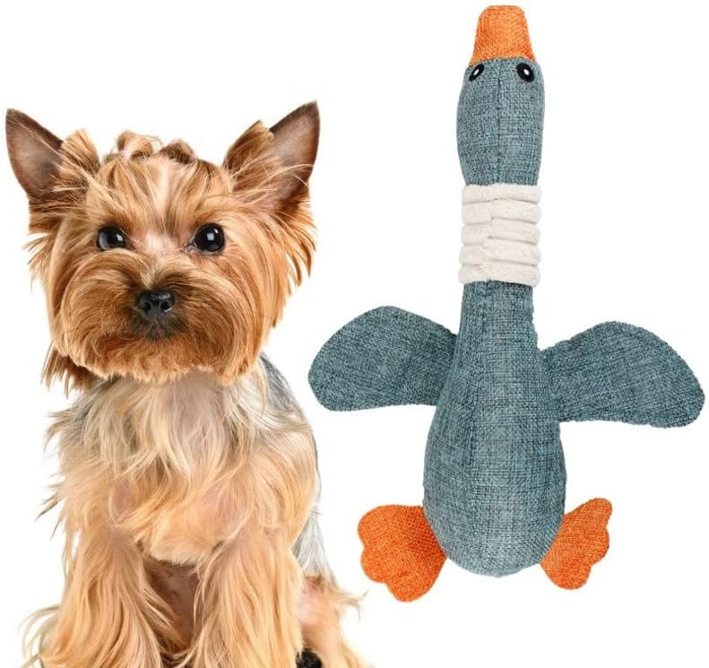 שינגז'אן צעצועי כלבי אווז בר, צעצועי כלבים לחיות מחמד עם חריקת לכלבים קטנים בינוניים גדולים, צעצועי בקיעת