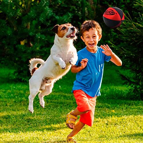 נרף כלב עקיבה כדור כלב צעצוע, קל משקל, עמיד ועמיד במים, 4.5 סנטימטרים, עבור בינוני / גדול גזעים, יחידה