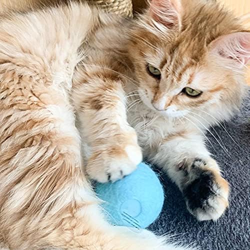 צעצוע כדור חתול קטיפה של AOOF, צעצוע כדור חתול אינטראקטיבי, 3 צלילי בעלי חיים ריאליסטיים, צעצוע חתול