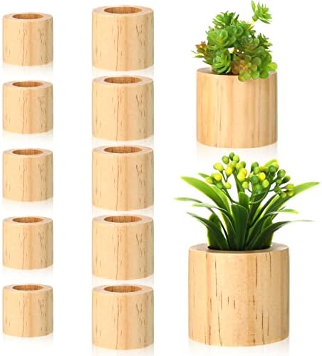 10 יח '2 מידות מחזיק צמח אוויר מעץ בסגנון כפרי סירי צמח אוויר מקורה צמחי אוויר קטנים תצוגה