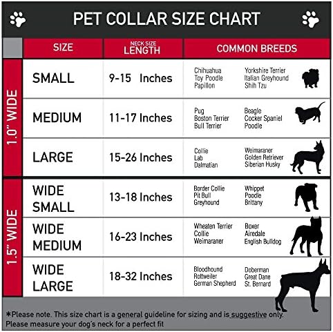 צווארון כלב צווארון בטיחות אבזרי חגורת בטיחות שחור רב -ניאון 11 עד 17 אינץ 'ברוחב 1.0 אינץ'
