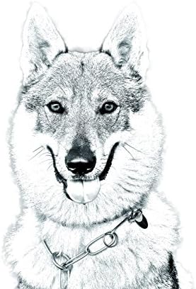 כלב זאב צ ' כוסלובקי, מצבה סגלגלה מאריחי קרמיקה עם תמונה של כלב