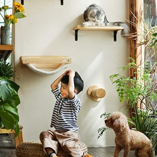 פוקומארו חתול קיר ריהוט, כולל חתול טיפוס מדף, חתול פעילות עץ עם מגרד הודעות, חתול ערסל, חתול קיר צעדים,