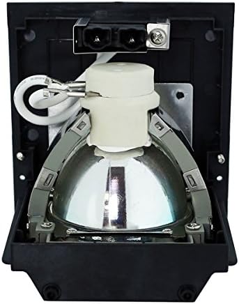 כלכלת Lytio למנורת מקרן Optoma BL-FP350B עם דיור BLFP350B