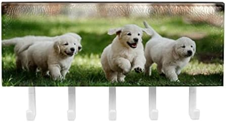 מארגן מדף גור כלב לחיות מחמד עם 5 ווים מדף מדף מטבח קיר מדף אחסון רב -פונקציונלי
