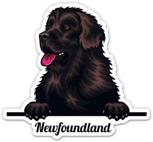 מדבקות כלבים של ניופאונדלנד - 2 חבילות של מדבקות 3 אינץ ' - ויניל אטום למים לרכב, טלפון, בקבוק מים,