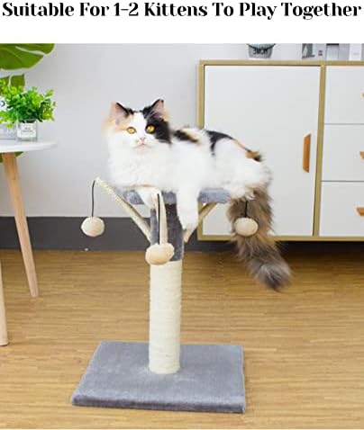 חתלתול עץ עבור מקורה חתולי גרוד קיטי מגדל טבעי סיסל טופר גרדן חתול שריטה צעצוע קפיצת פלטפורמת 3 אינטראקטיבי