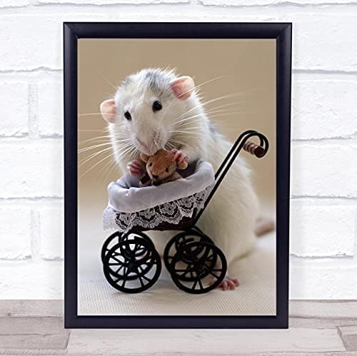 שלי טדי דוב עכברוש הולנד עכבר לחיות מחמד חמוד עגלת תינוק קיר אמנות הדפסה