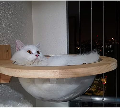 קיר רכוב שקוף קפסולת חלל חתולי קיר בית חתולי עץ עץ חתולי טיפוס מסגרת חתלתול מיטת מקפצה לחיות מחמד
