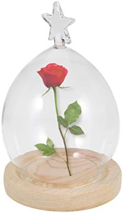 תצוגת זכוכית AMOSFUN תצוגת כיפה קלוש עם עץ לב עץ ציפורים דוב צורת כוכב צורה פרח מיובש תצוגת זכוכית כיסוי שולחן