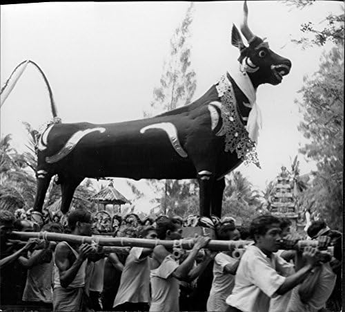 תצלום וינטג 'של גברים נושאים על כתפיהם אליל שור גדול במהלך מצעד בבאלי, אינדונזיה .- ינואר 1963