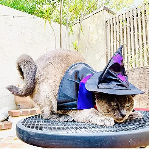 Adoggygo Halloween Cat Passut