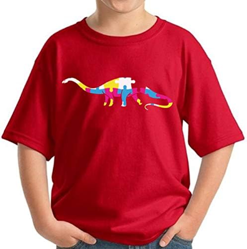 Pekatees Autism חולצת נוער אוטיזם דינוזאור דינוזאור לחולצת ילדים חולצת מודעות לאוטיזם