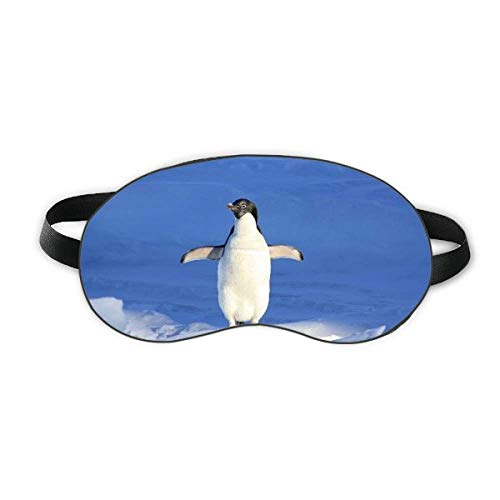 פינגווין לבן חמוד מדעי טבע תמונה מגן שינה עיניים
