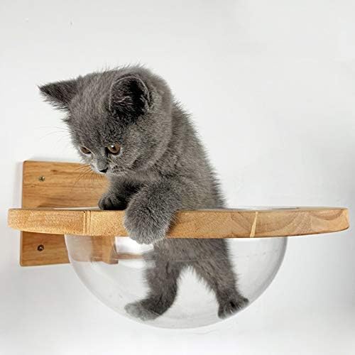 סלאטיום לחיות מחמד חתולי קיר בית קיר רכוב שקוף קפסולת חלל חתולי עץ עץ חתולי טיפוס מסגרת חתלתול