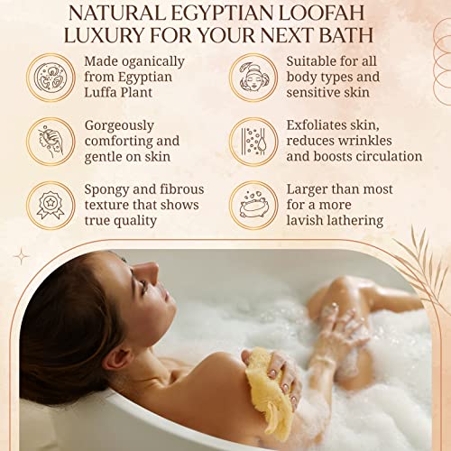 ספוג ליפה טבעי מצרי פילינג קרצוף גוף - ליפות האמבטיה שלנו מספקות ניקוי עמוק ומרענן לפנים ולגוף שלך-ספוגי
