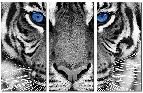 קריאטיבי אמנויות גדול 3 חתיכות בד הדפסי קיר אמנות כחול עיניים נמר פוסטר מודפס על בד בעלי החיים תמונות ציור ז '