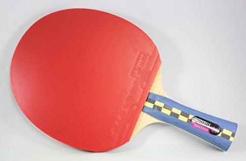 פרפר נקמה S4 מחבט טניס שולחן - כוח סיבי פחמן עם שליטה מפתיעה - סדרת נקמה - כולל 2 40+ כדורים - מומלץ למשחק