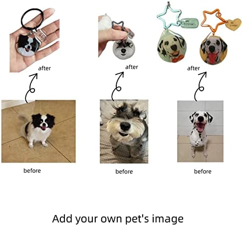 לפאה יד מצוירת כלב תגיות מותאם אישית לחיות מחמד מזהה כרטיס מחזיק מפתחות עם כלב תמונה שם לחיות מחמד תמונה אישית
