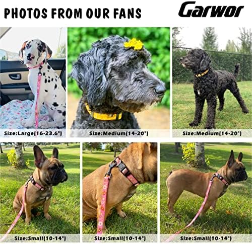 צווארון כלבים וסטיות של Garwor, 3 דפוסי מהנה צווארון כלבים מתכוונן עם אבזם נעילת בטיחות וטבעת D, 5 רצועת