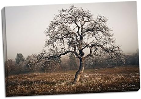 גנגו הום ד 'דסקור עץ קפוא, צילום אמנותי מאת: ויטלי גיימן; בד אחד 36 על 24 אינץ' נמתח ביד