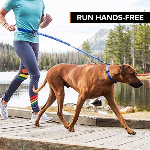 גור פעלולים ריצת כלבים ריצת פעלולים רץ רצועה חופשית רצועת כלב רתמת גלו, צהבה, גדולה