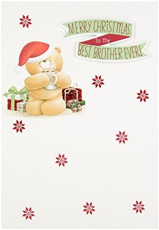 כרטיס חג המולד של הולמרק לנצח חברים ' לאח ' - בינוני