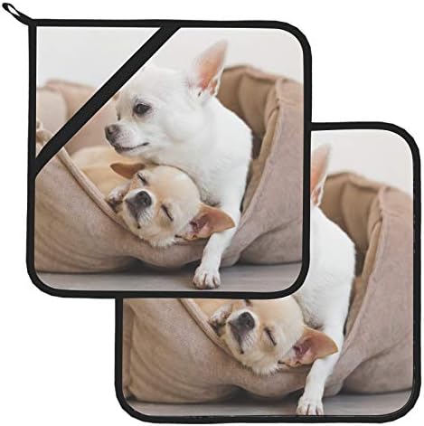 לחבק חברים כלבים חמודים מחזיק סיר בעלי חיים עמיד חום עמידות בפני מטבחים 2 מחשב Potholder 8 × 8 אינץ