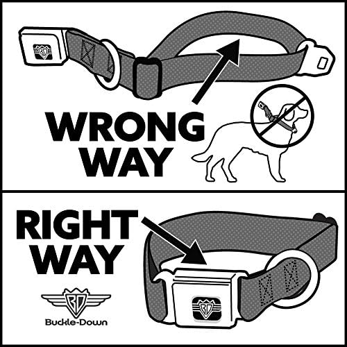 צווארון כלב אבזם חגורת בטיחות אלדין יסמין סצנות טירת ציפורים 9 עד 15 אינץ 'ברוחב 1.0 אינץ'