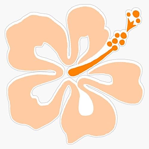 EB Store Hibiscus פרחים פגוש מדבקה ויניל מדבקה 5 ''