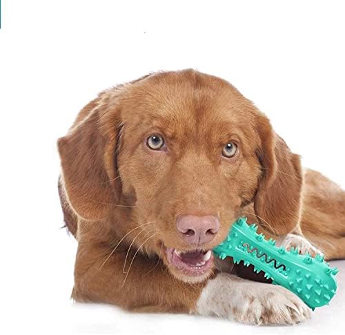 מברשת שיניים כלב ללעוס צעצוע, מקל עצם עבור כלב שיניים ניקוי, צחצוח שיניים, בקיעת שיניים ללעוס צעצועים, שיניים