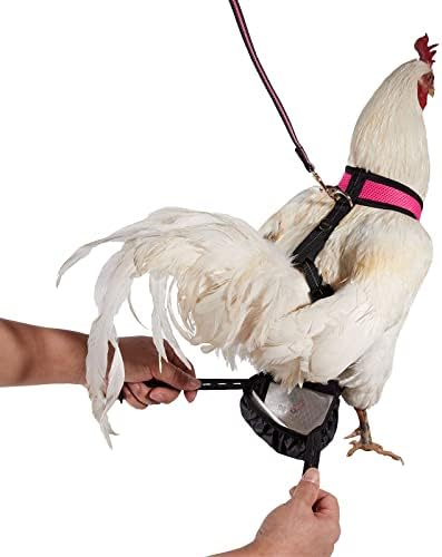 רתמת תרנגולת עוף של יסטו עם רצועה תואמת 6ft - סט חיית מחמד רחיצה - לאפרוחים, אווזים, ברווזים ועוד - להקל