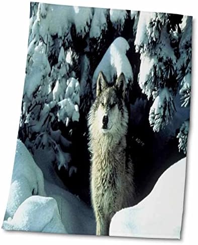 חיות פלורן 3 דרוז - זאב אפור בשלג - מגבות