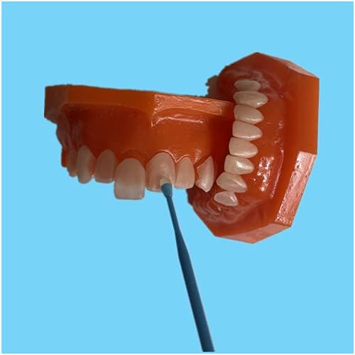 66זקי כל-קרמיקה פורניר תיקון שן דגם סטנדרטי שיניים דגם עבור שיניים הלבנת תיקון בית ספר חינוך תצוגת או מטופל