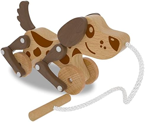 Lkyoxs Montesori צעצועים 2 חבילות סט צעצועים וחסימה לפעוטות 1-3, צעצועי עץ משוך עץ עץ ומיון מעץ וערימה צעצועים