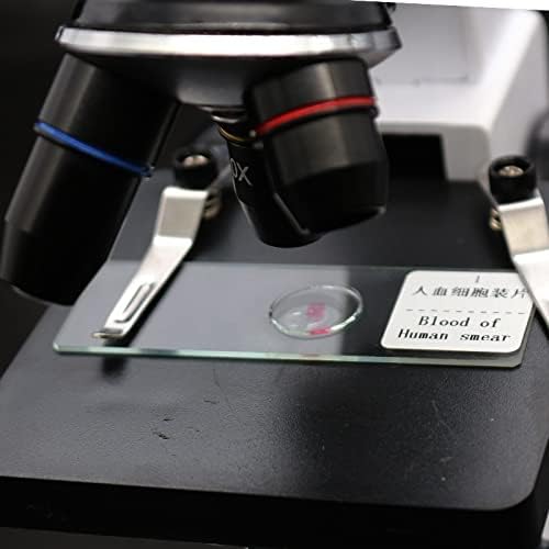 מיקרוסקופ אביזרי ערכת למבוגרים הוכן מיקרוסקופ שקופיות זכוכית ביולוגית דגימה 12 50 100 מעבדה מתכלה