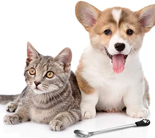 6 חתיכות כלב יכול כפית נירוסטה לחיות מחמד כפית כלב מזון כפית עם 7 אינץ ארוך ידית חתול שימורים סקופ עם חמוד חתול
