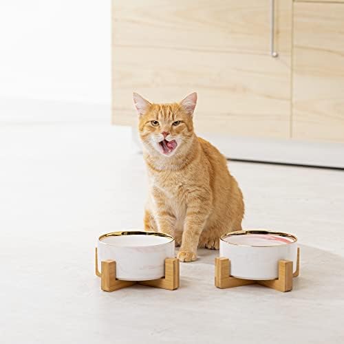 נבאריס קרמיקה לחיות מחמד קערות עם מעמד-6.2 קוטר חתול כלב קערת מזון צלחת סט עם זהב מסגרת שיש דפוס במבוק