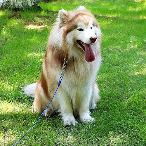 כלב פטובובי מוביל לחצר 30 רגל וצעצוע חבל כלבים מוט אביב עם חבילה של 16ft עמידה בחבל