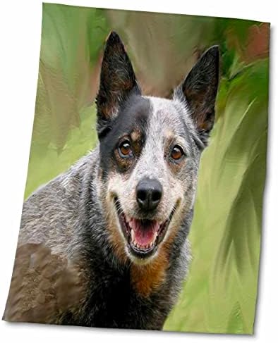 מגבת כלב בקר אוסטרלית 3 רוז, 15 איקס 22, לבן
