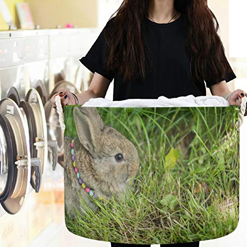 Visesunny Happy Rabbit ארנב סלי כביסה באחסון בד קופסת אחסון פח קופסת אחסון מתקפלת סלסלת בגדים צעצועים