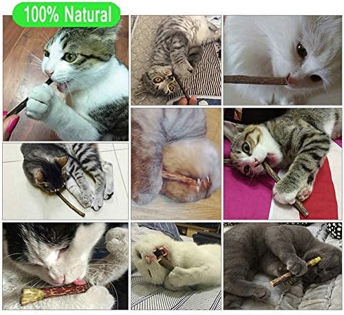 רוזיקלו 20 יחידות חתול ללעוס כסוף מקלות, אורגני עבור שיניים טיפול טבעי קטניפ מקלות, שיניים טוחנת