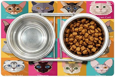 מחצלת חיות מחמד לחתולים לחתולים לונאנים למזון ומים, גזעים פופולריים אביסיניאנים אמריקאים ספינקס יער נורווגי יער