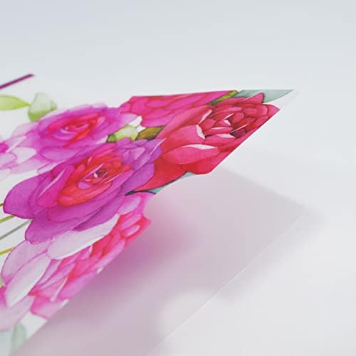 פרונטיה 4 גודל 8.27 איקס 11.69 ברור פלסטיק תיקיית פרח עיצוב חמוד פרורל יפן יבוא